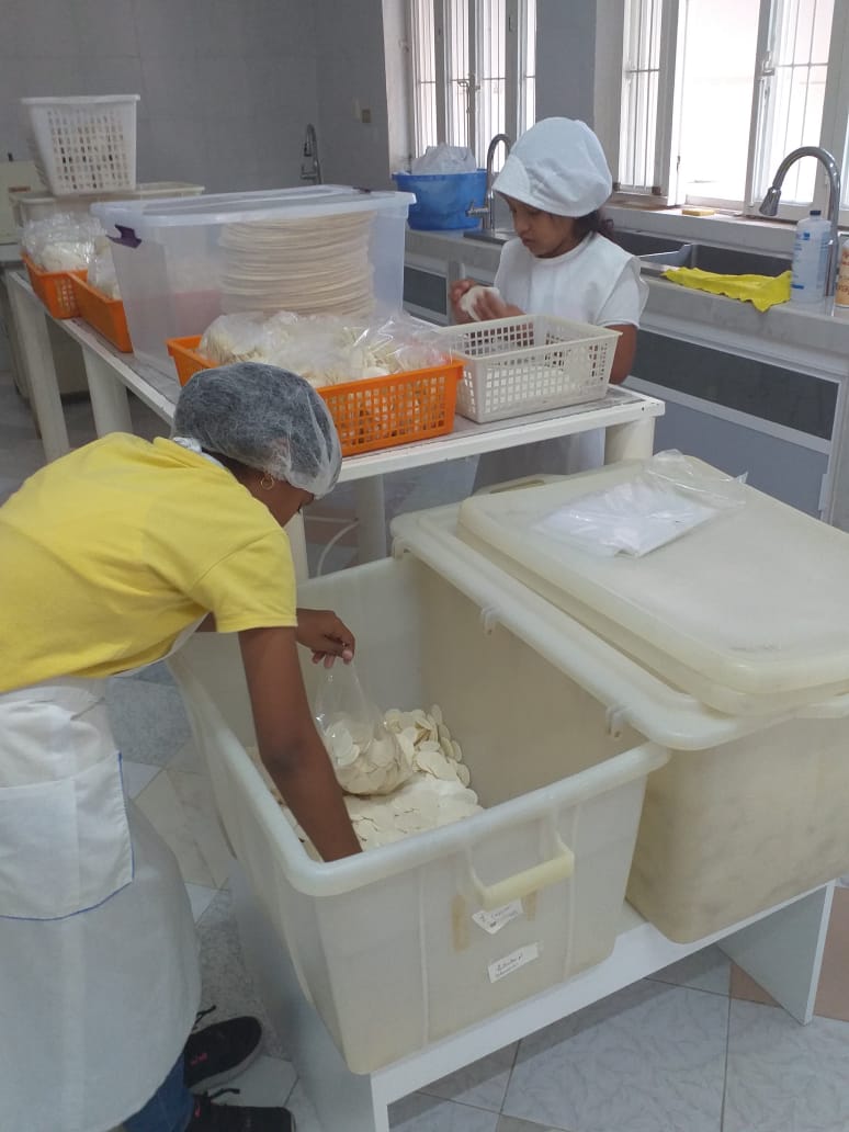 Luglio 2019 – Merida